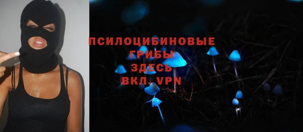 стафф Володарск