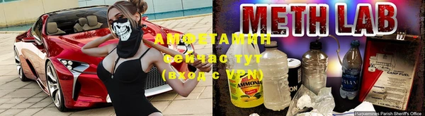 стафф Володарск
