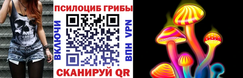 Купить закладки  Володарск  Галлюциногенные грибы MAGIC MUSHROOMS 